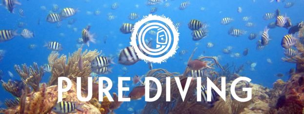 Hot News | Dive Right In To Grenadas Pure Dive Fest 2017 | caribbeantravel.com