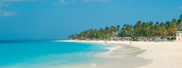 Hot News | Divi & Tamarijn Aruba Launch Divi Dose of Paradise Toolkit | caribbeantravel.com