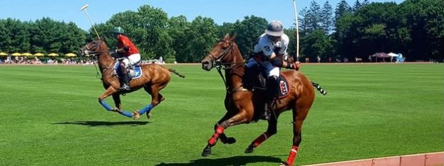 Travel Log | Barbados Partners with US Polo Club | caribbeantravel.com