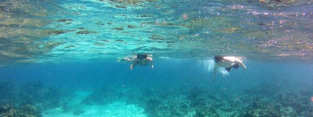 Travel Log | Best snorkeling spots in the Caribbean | caribbeantravel.com