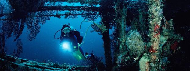 Travel Log | The 10 best dive sites in the Caribbean | caribbeantravel.com