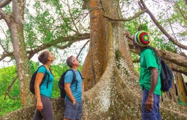 hot-news-antigua-and-barbuda-to-tap-into-the-wellness-travel-market