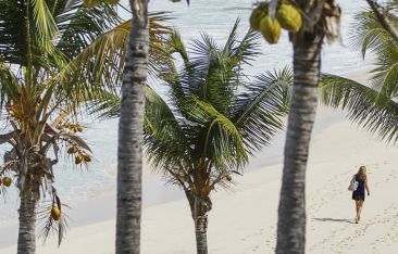 hot-news-celebrate-global-wellness-day-at-four-seasons-resort-and-residences-an