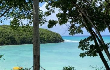 hot-news-couples-resorts-in-jamaica-offering-free-onsite-testing