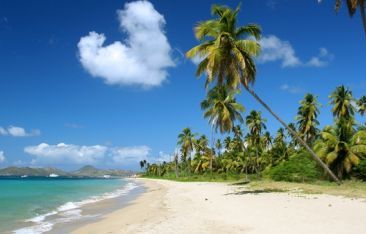 hot-news-covid-19-safety-training-sessions-preparing-nevis-for-tourism