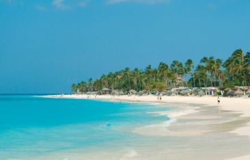 hot-news-divi-tamarijn-aruba-launch-divi-dose-of-paradise-toolkit