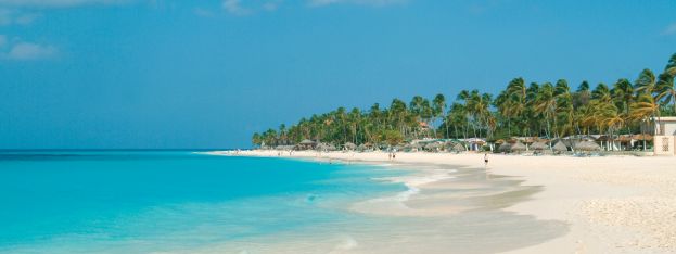 hot-news-divi-tamarijn-aruba-launch-divi-dose-of-paradise-toolkit