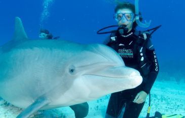 hot-news-grand-bahama-island-is-welcoming-visitors