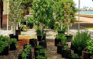 hot-news-hyatt-regency-trinidad-unveils-a-new-hydroponic-garden