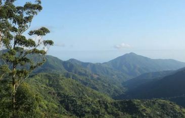 hot-news-kingston-offers-visitors-world-renowned-culture-adventure-cuisine