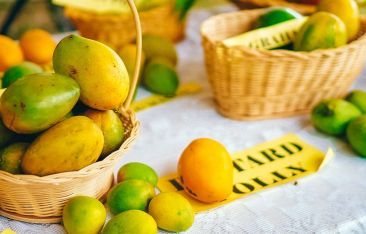 hot-news-nevis-launches-virtual-mango-festival-2020