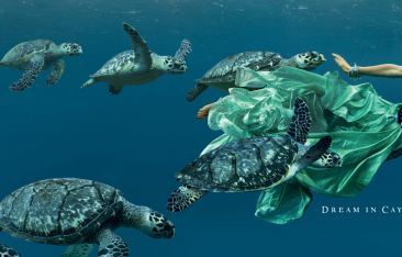 hot-news-new-cayman-islands-creative-encourages-travellers-to-think-beyond