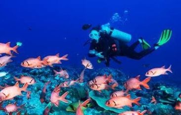 hot-news-paradise-cruises-announces-new-excursions-for-the-adventure-lovers