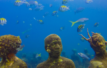 hot-news-zoom-backgrounds-brighten-up-your-day