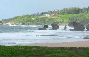 the-caribbean-daily-barbados-wild-wild-east-coast-a-surfers-paradise