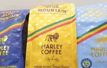 the-caribbean-daily-caribbean-brew
