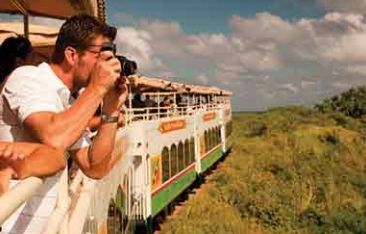 the-caribbean-daily-caribbean-vacation-experience-st-kitts-scenic-railway