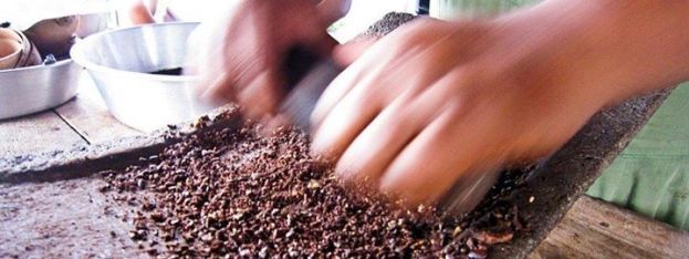 the-caribbean-daily-chocolate-festival-of-belize