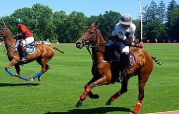 travel-log-barbados-partners-with-us-polo-club