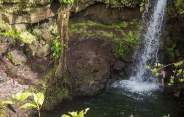 travel-log-best-caribbean-islands-for-nature-lovers
