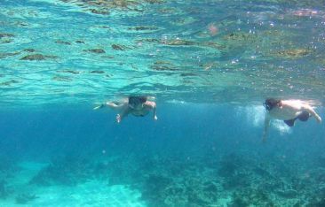 travel-log-best-snorkeling-spots-in-the-caribbean