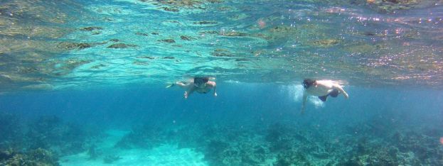 travel-log-best-snorkeling-spots-in-the-caribbean