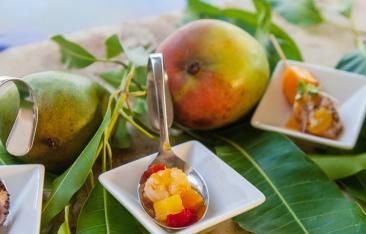 travel-log-mangoes-rule-the-caribbean
