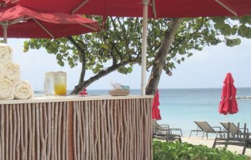 travel-log-nevis-a-naturally-scenic-caribbean-enclave