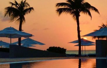 travel-log-resort-ups-the-ante-on-its-wellness-offerings