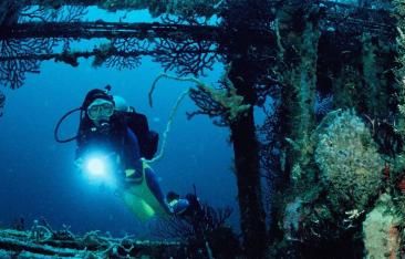 travel-log-the-10-best-dive-sites-in-the-caribbean