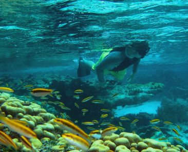 Snorkeling is among the finest in the world and a favorite of adventure travellers Photo Credit Island Routes