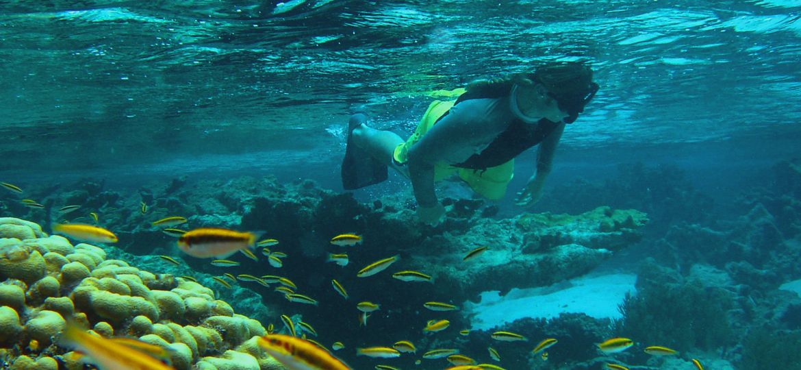 Snorkeling is among the finest in the world and a favorite of adventure travellers Photo Credit Island Routes