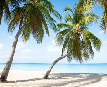 Seven Mile Beach is one of the most photographed beaches in the world Photo Credit - Julie Corsetti
