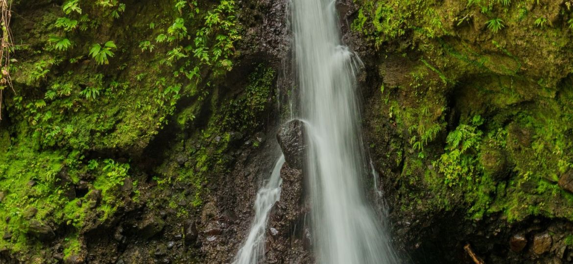 Jacko Waterfall is a hidden gem near Spanny Falls Photo Credit Discover Dominica