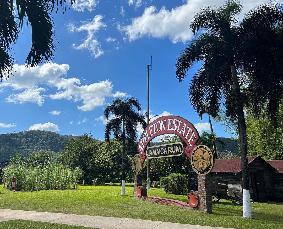 The Joy Spence Appleton Estate Rum Experience in Jamaica.